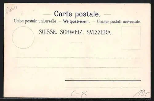 Lithographie Lucerne, Hotel Waldstätterhof und Savoy, Panorama