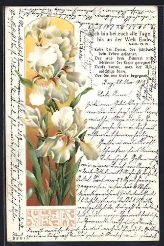 AK Weisse blumen, Ich bin bei euch alle Tage..., Matth. 28.20, Sinnspruch