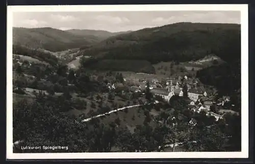 AK Spiegelberg / Württ., Ortsansicht aus der Vogelschau