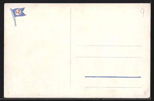 Künstler-AK Willy Stoewer: S.S. America mit Schleppern in Küstennähe