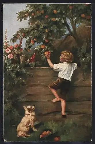 Künstler-AK sign. C. Gerling: Apfeldieb am Zaun