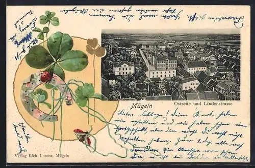 Präge-Lithographie Mügeln / Sa., Ortsansicht: Ostseite und Lindenstrasse, Glücksklee, Marienkäfer u. Hufeisen