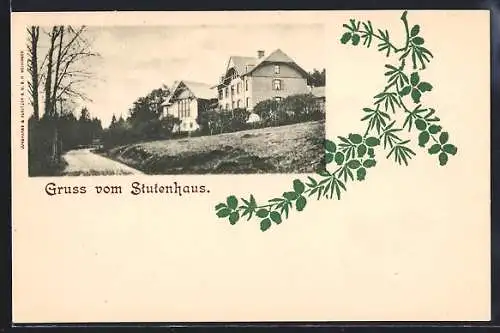 AK Stutenhaus, Gebäudeansicht mit Strasse, Hagebuttenzweig