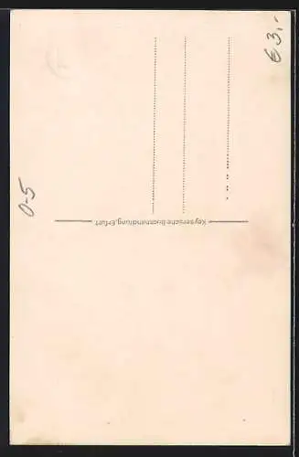 AK Erfurt, Anger mit Museum