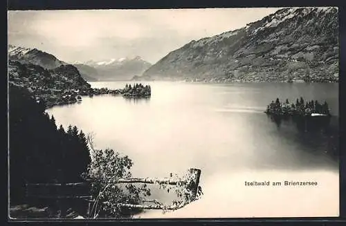 AK Iseltwald am Brienzersee, Ortsansicht aus der Vogelschau