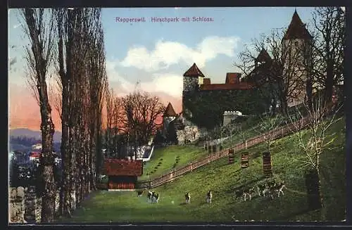 AK Rapperswil, Hirschpark mit Schloss
