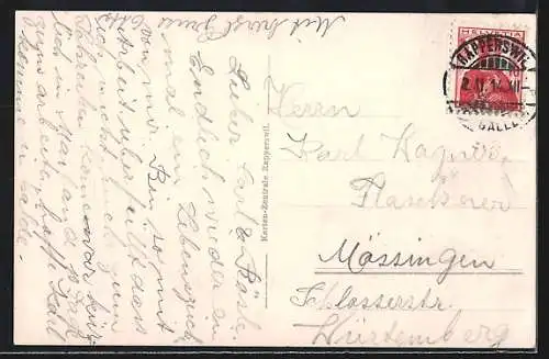 AK Rapperswil, Hirschpark mit Schloss