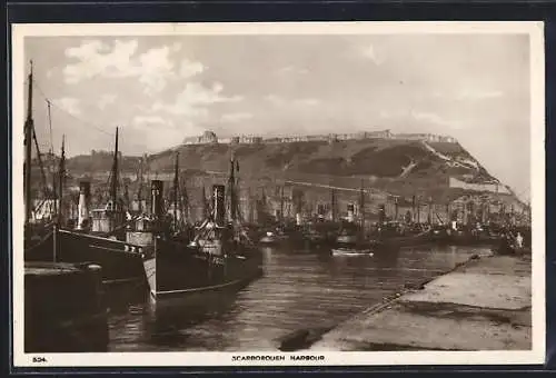 AK Scarborough, Harbour