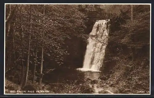 AK Whitby, Falling Foss
