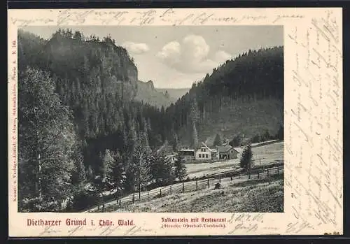 AK Falkenstein / Dietharzer Grund, Ortsansicht mit Restaurant