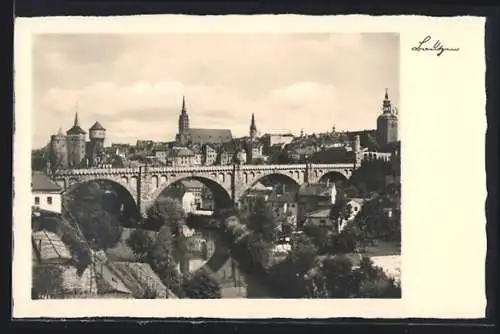 AK Bautzen, Ortspartie mit Kronprinzenbrücke