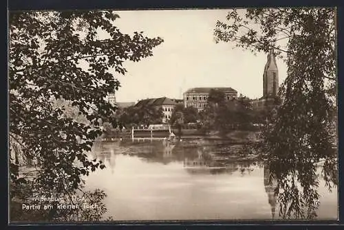 AK Altenburg / Thüringen, Partie am kleinen Teich