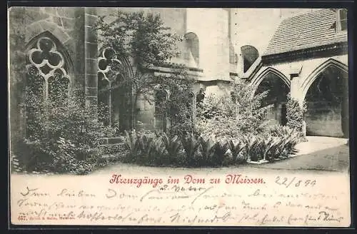 AK Meissen, Kreuzgänge im Dom