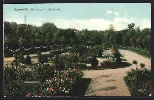 AK Chemnitz, Rosarium im Stadtpark