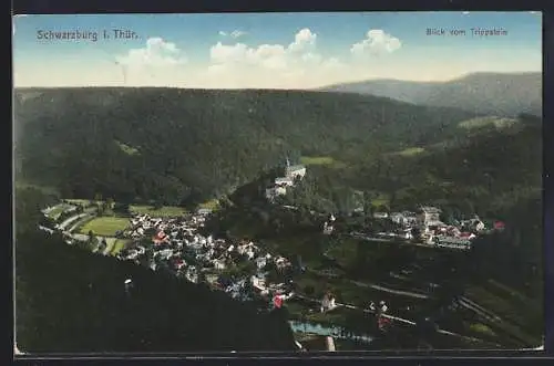 AK Schwarzburg i. Thür., Blick auf den Ort vom Trippstein