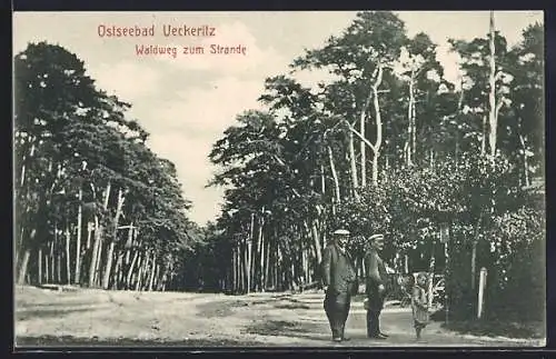 AK Ueckeritz, Waldweg zum Strand mit zwei Männern und Kind
