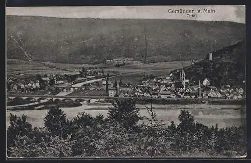 AK Gemünden a. Main, Gesamtansicht mit Flusspartie