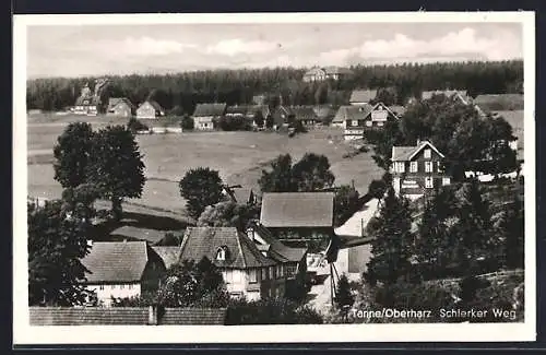 AK Tanne /Oberharz, Ortsansicht vom Schlerker Weg aus