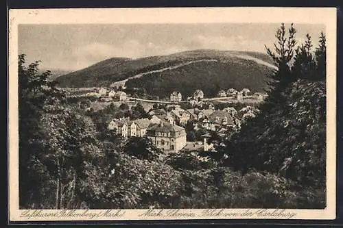 AK Falkenberg /Mark., Blick von der Carlsburg mit Bergpanorama
