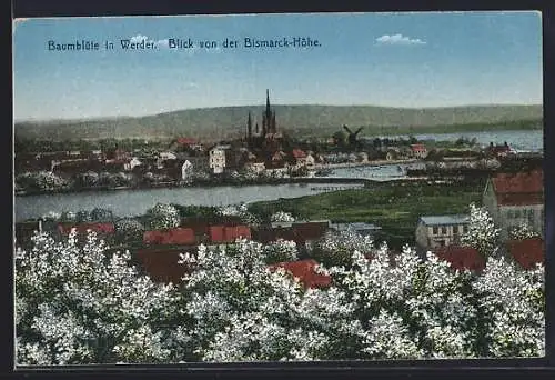 AK Werder a. H., Baumblüte, Blick von der Bismarck-Höhe