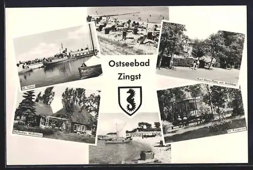 AK Zingst / Ostsee, Karl-Marx-Platz mit Milchbar, Hafenansicht, Kurgarten