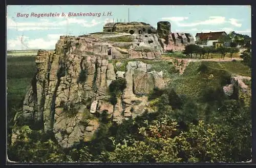 AK Blankenburg i. H., Blick auf Burg Regenstein
