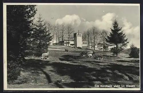 AK Bad Orb, Erholungsstätte Wegscheide, Blick auf die Kirche mit grasenden Schafen
