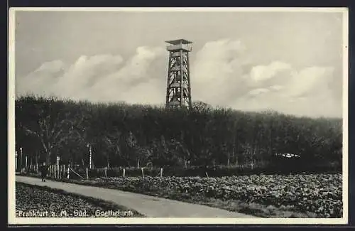 AK Frankfurt-Sachsenhausen, Goetheturm ragt aus dem Wald