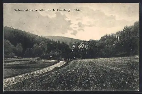 AK Eisenberg / Thür., Hotel und Pension Robertsmühle
