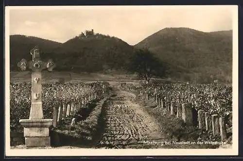 AK Hambach / Rheinpfalz, Blick zur Maxburg bei Neustadt