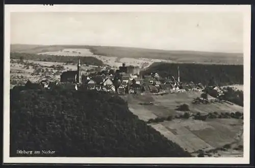 AK Dilsberg am Neckar, Ortsansicht aus der Vogelschau