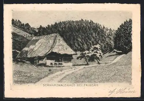 Künstler-AK Triberg, Schwarzwaldhaus