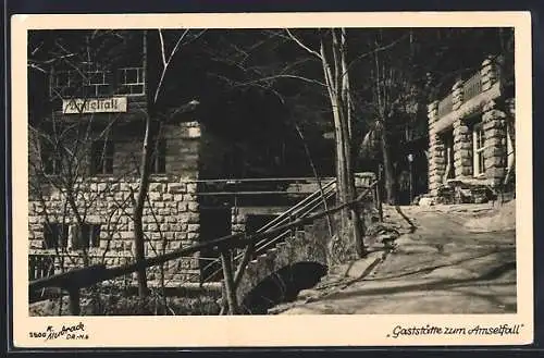 AK Hohnstein / Elbsandsteingebirge, Gaststätte zum Amselfall