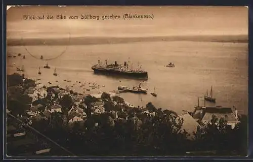 AK Hamburg-Blankenese, Blick auf die Elbe vom Süllberg gesehen, Passagierschiff