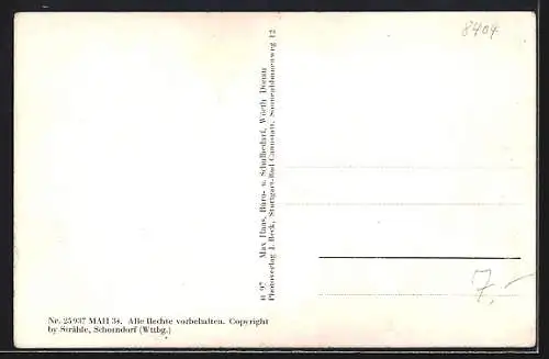 AK Wörth a. Donau, Ortsansicht mit Kirche und Burg aus der Vogelschau