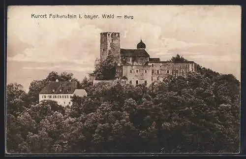 AK Falkenstein i. bayer. Wald, Ansicht der Burg