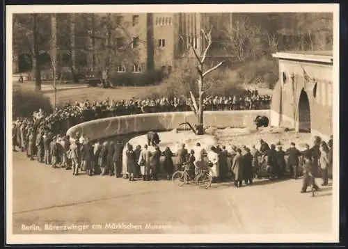 AK Berlin, Bärenzwinger am Märkischen Museum