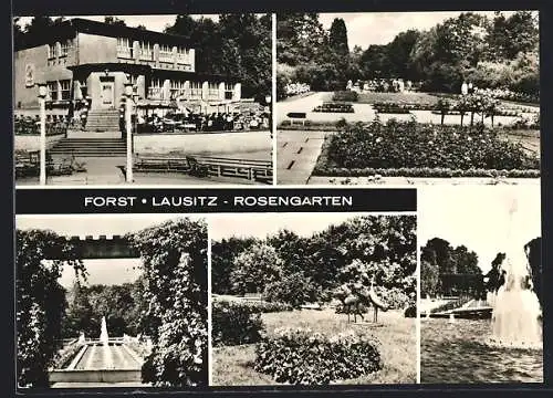 AK Forst /Lausitz, Rosengarten mit Springbrunnen
