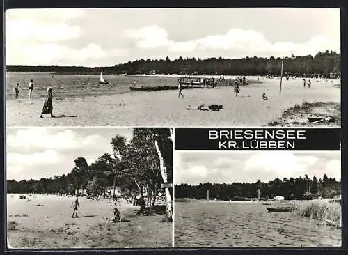 AK Briesensee /Lübben, Strandbad mit Badegästen