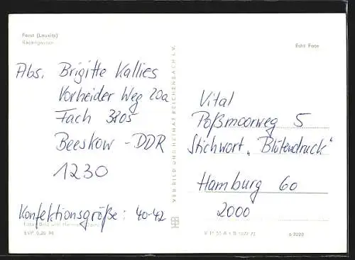 AK Forst /Lausitz, Springbrunnen im Rosengarten