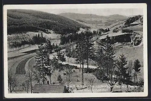 AK Grosskamsdorf über Saalfeld, Blick ins Wutschental