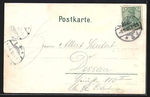 AK Leipzig, Ansicht des Palmengartens