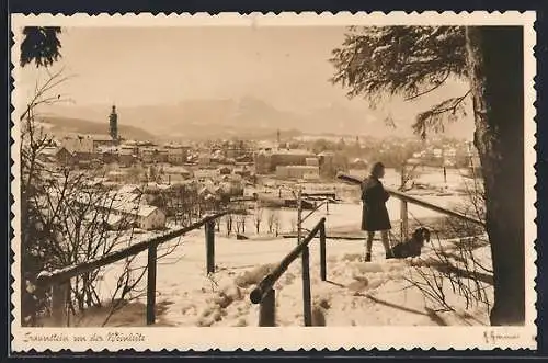 AK Traunstein, Panorama von der Weinleite im Winter