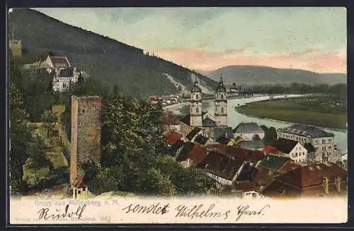 AK Miltenberg a. M., Ortsansicht mit Kirche und Burgturm