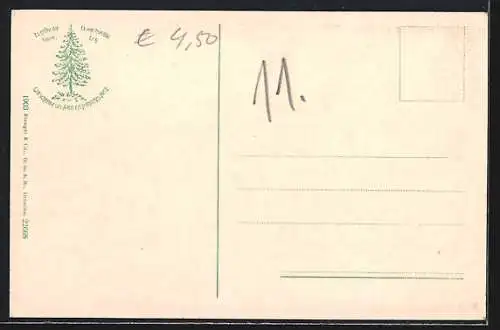 AK Gernrode / Harz, Partie im Ort mit Stubenberg