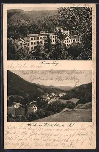 AK Schriesheim, Sanatorium Stammberg, Ortsansicht mit Blick ins Schriesheimer Tal