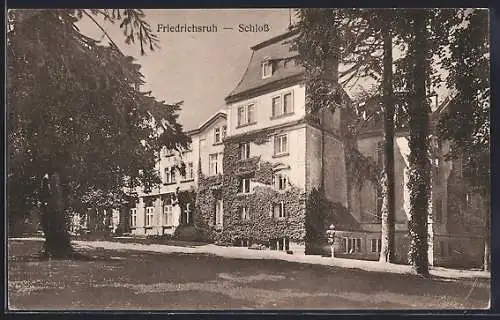 AK Friedrichsruh, Schloss