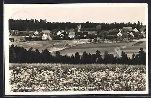 AK Zwerenberg /Württbg. Schwarzwald, Ortsansicht mit Wald und Feld