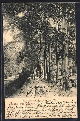 AK Berlin, Ein schattiger Weg im Tiergarten