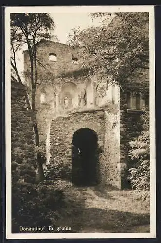 AK Donaustauf, Blick auf die Burgruine